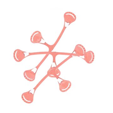 Sponka Snappi Original by XKKO - Peach (3pack)